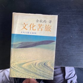 文化苦旅