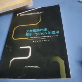 大数据预处理—基于Python的应用