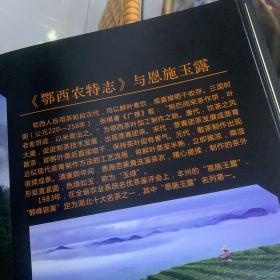 国家级非物质文化遗产-中国十大名茶-东湖会晤国事用茶——恩施玉露z1