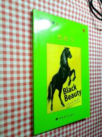 典范英语9 黑骏马 black beauty