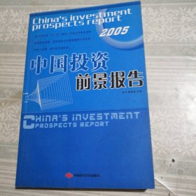 2009中国投资前景报告