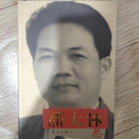 广西当代作家丛书 ：潘大林