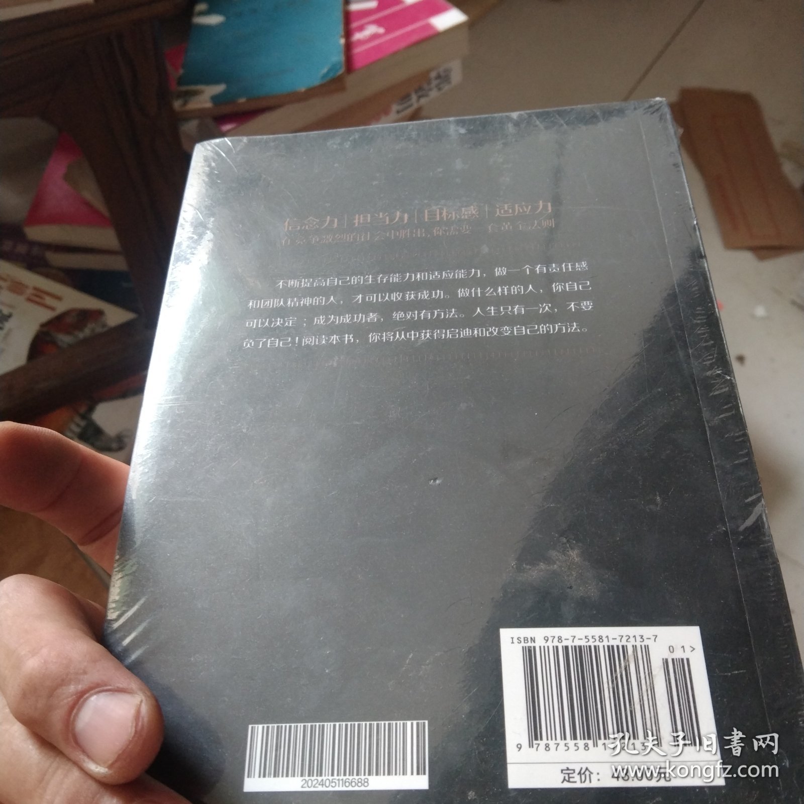 成功法则：成者为王，百炼成钢