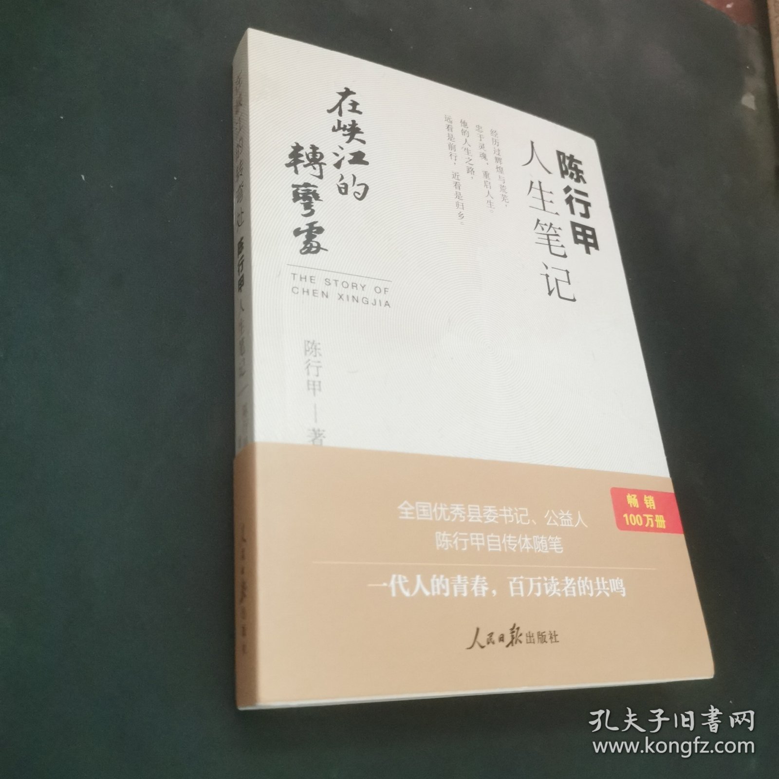 在峡江的转弯处：陈行甲人生笔记