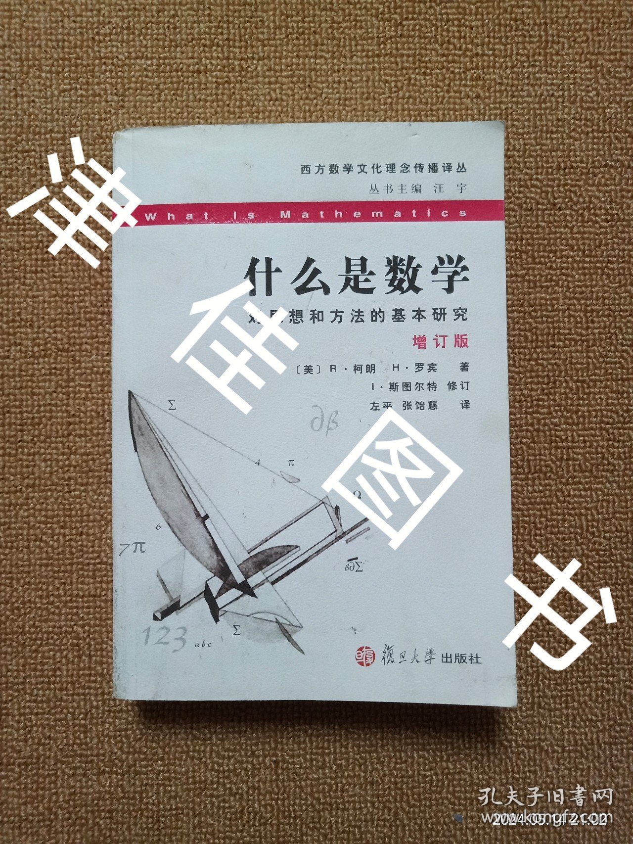 【实拍、多图、往下翻】什么是数学：对思想和方法的基本研究