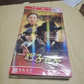 嫂子嫂子 (DVD10张全新没拆封)