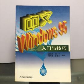 中文Windows95入门与技巧