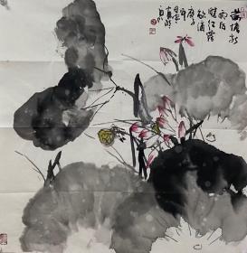 田寒， 68X68cm！
        现为中国美术家协会会员，北京中国书画家协会副会长，曾任北京市第九，十届人大代表，北京市人大常委会文化卫生体育委员会委员，中国音乐家协会会员。