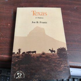 texas a history 书脊裂开了不缺页看图