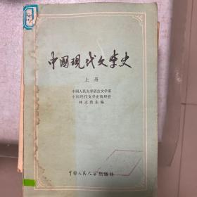 中国现代文学史全套2册（上册1979年9月出版，下册1980年5月出版，内容衔接良好）（馆藏图书）