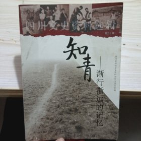 知青：渐行渐远的记忆