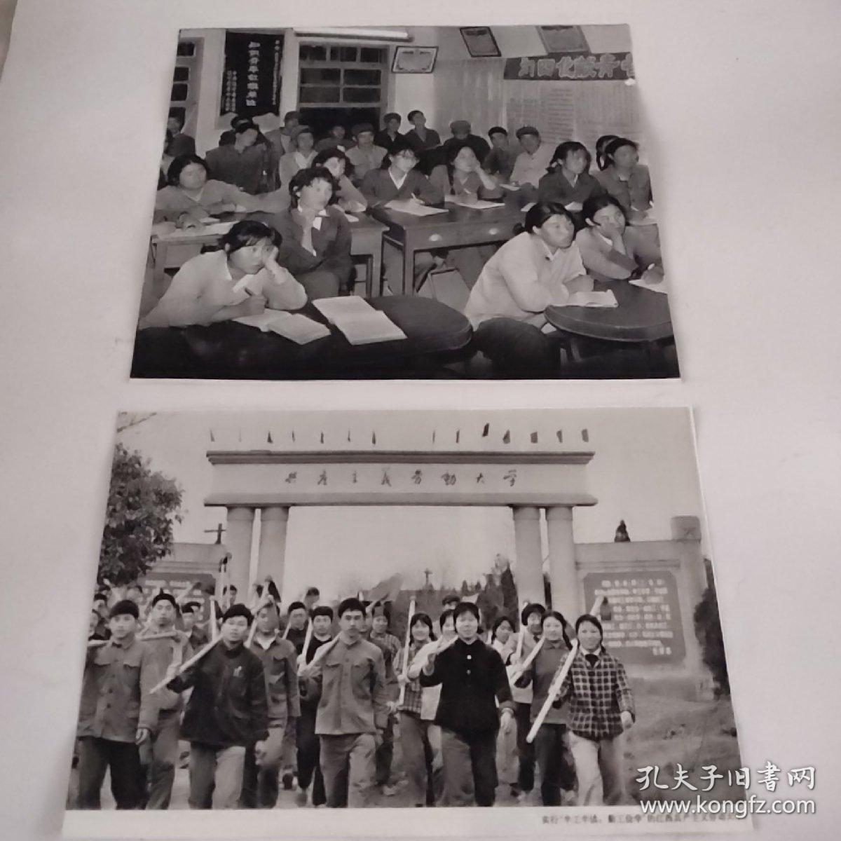 裁剪图片二张(约16开+略小于16开，拍前看好，介意勿拍)