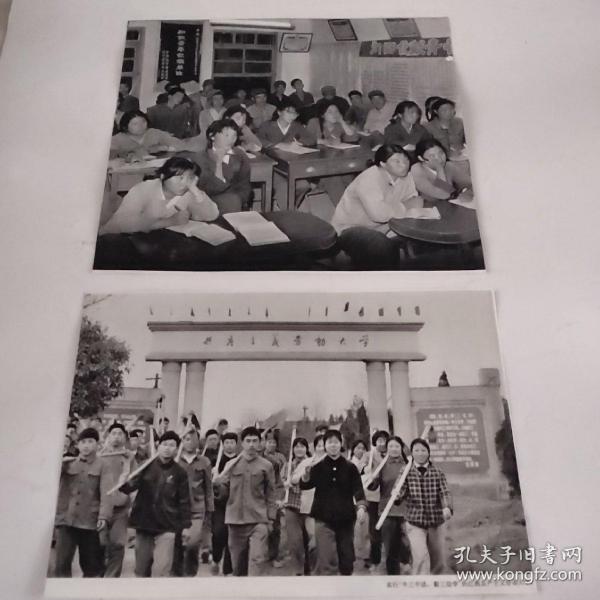 裁剪图片二张(约16开+略小于16开，拍前看好，介意勿拍)