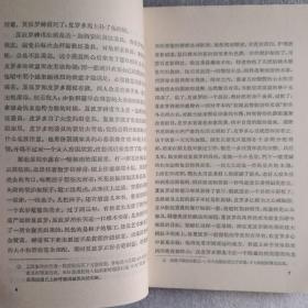 都尔的本堂神甫比哀兰德(馆藏)