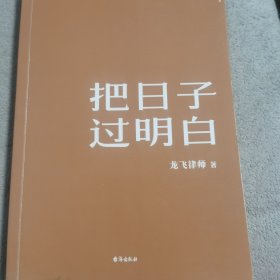 把日子过明白 龙飞律师 著