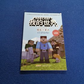 我的世界·冒险故事图画书5.陌生人来访