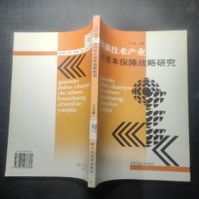 高新技术产业的资本保障战略研究