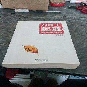 刀锋上起舞：直面危机的中国经济