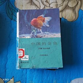 中国的金鱼