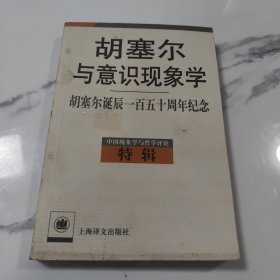 胡塞尔与意识现象学