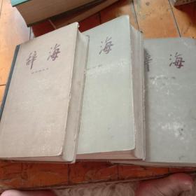 辞海 词语分册上下 增补本