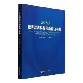 2030世界深海科技创新能力格局