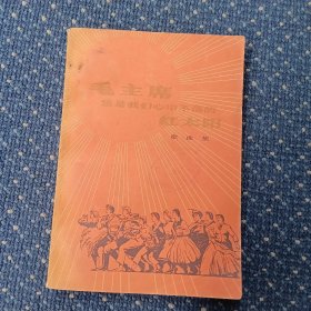 毛主席，您是我们心中不落的红太阳歌曲集