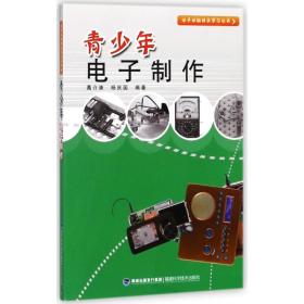 青电子制作/动手动脑快乐学丛书 电子、电工 编者:葛介康//杨庆国