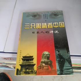 三只眼睛看中国