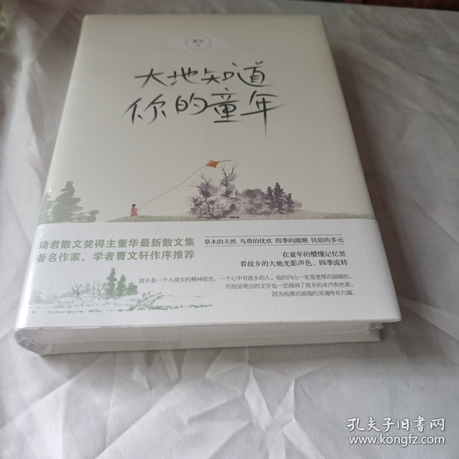 点击查看原图 大地知道你的童年