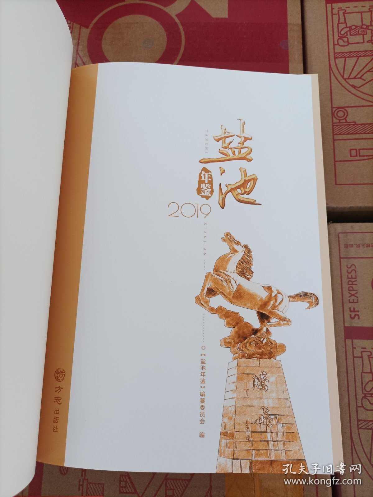 宁夏地方志：《盐池年鉴2019》