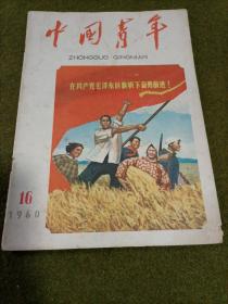 中国青年 1960年16期