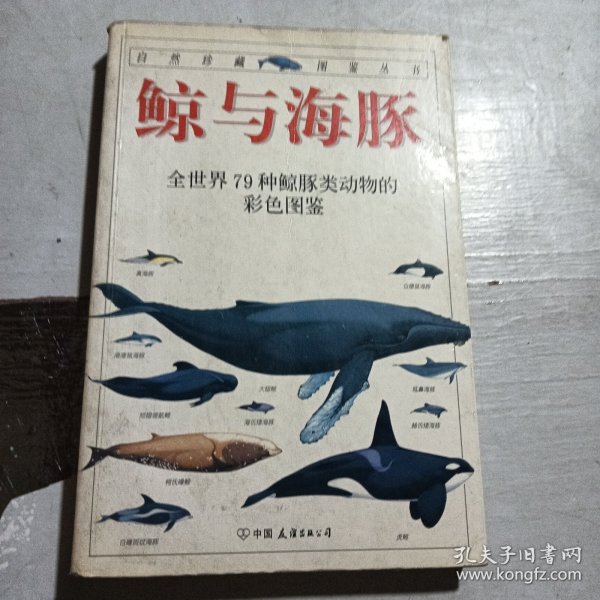 鲸与海豚：全世界79种鲸与海豚的彩色图鉴——自然珍藏图鉴丛书