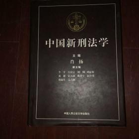 中国新刑法学