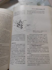 铁林迪妇科手术学（出版50周年·学术经典版）