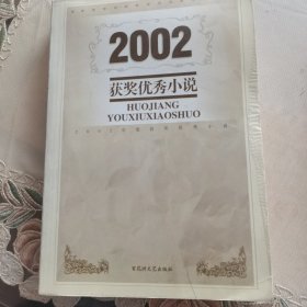 2002年获奖优秀小说