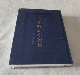 清末时新小说集 五