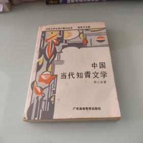 中国当代知青文学