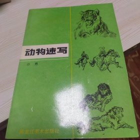 动物速写