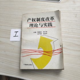 产权制席改革理论与实践
