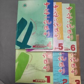 中篇小说选刊 2001年1一6期，全年6本合售。