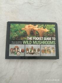 The pocket guide to wild mushrooms