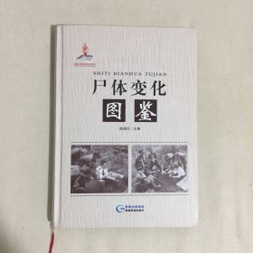 尸体变化图鉴