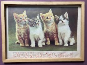 #每日一更# 1980年代 四只小猫咪 怀旧年画挂历年历画 品相如图 尺寸四开 全网络销售 喜欢的朋友不要错过