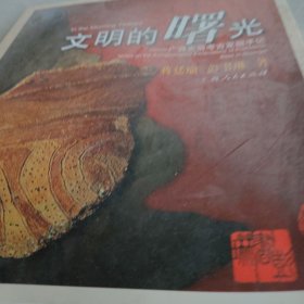 文明的曙光:广西史前考古发掘手记