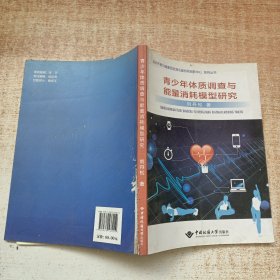 青少年体质调查与能量消耗模型研究/运动干预与健康促进湖北省协同创新中心系列丛书