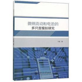 微纳流动和电池的多尺度模拟研究 电子、电工 于影