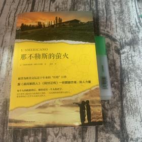 那不勒斯的萤火（被誉为欧美文坛近十年来的“灯塔”巨作，跟《追风筝的人》《阿甘正传》一样震撼灵魂、给人力量。）