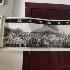 【近30年的老照片】1995年11月28日，福建省林业工作会议全体代表合影