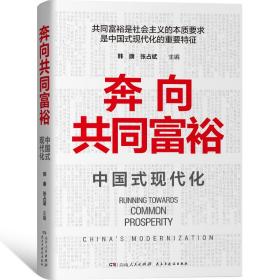 奔向共同富裕（读懂共同富裕，看清未来中国！深入浅出，雅俗共赏，两大TOP级智库联袂巨献，通俗理论重磅大作！）